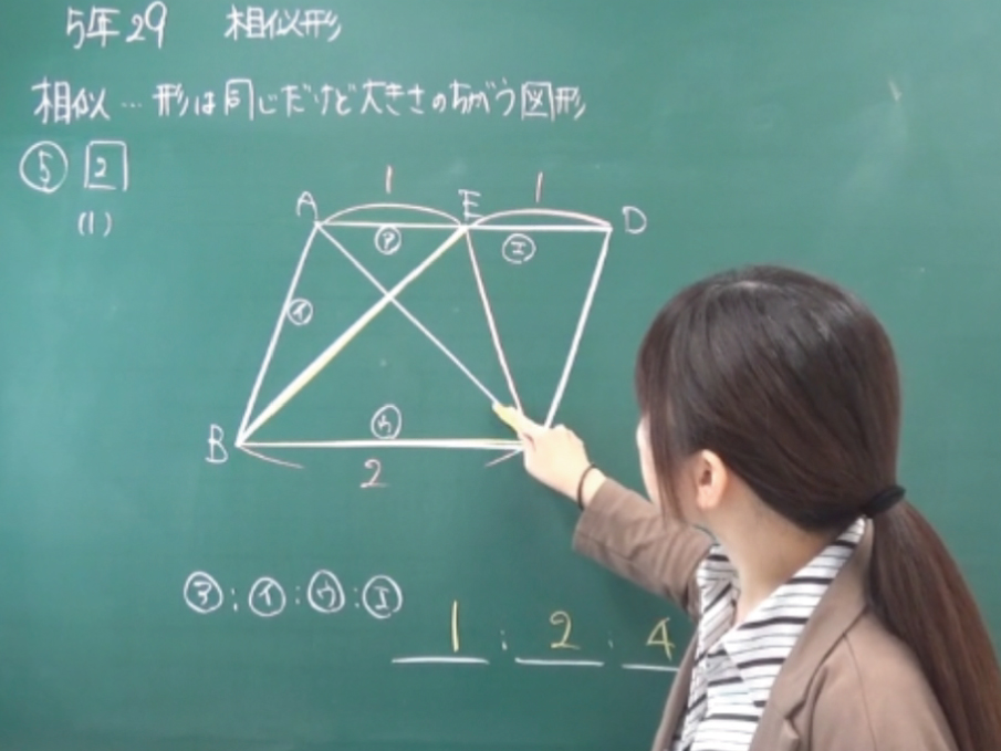 解説動画・個別指導