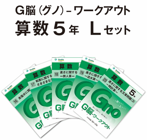 5年生版Lセット(No16～20) ¥4,200