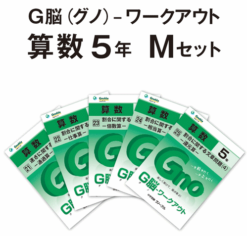 5年生版mセット(No21～25) ¥4,200