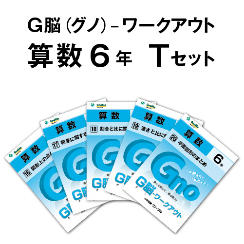 グノーブル 5年 算数G脳ワークアウト 30冊 書き込みほぼ無し良品