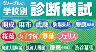 志望校合格に向けた最終チェックのイメージ